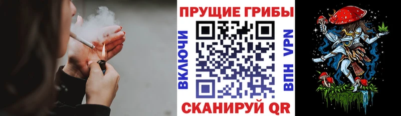 Псилоцибиновые грибы мухоморы  Купить  Яровое 